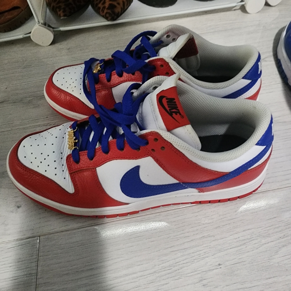 Nike Red and Blue Sneakers